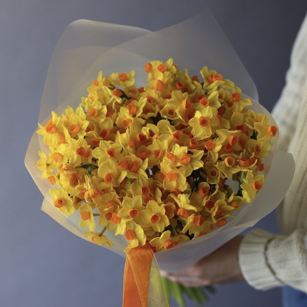 Yellow spray Daffodils - 49 нарциссов