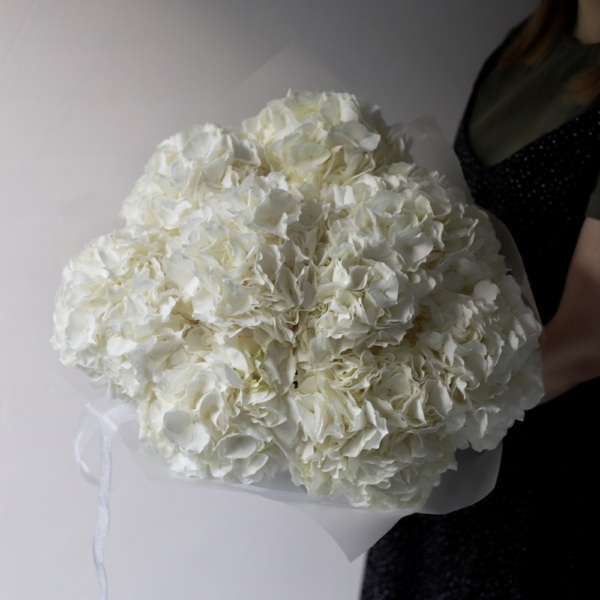 White Hydrangea - 9 гортензий