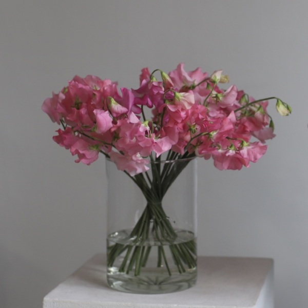 Sweet Pea in a vase - 29 душистых горошков