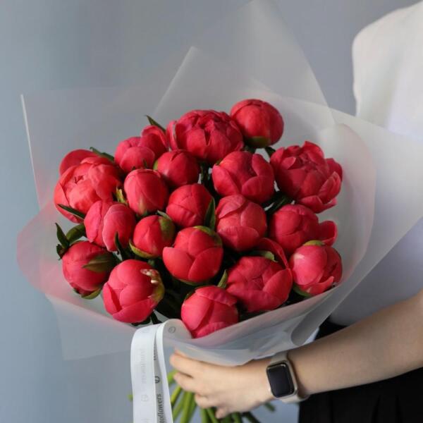 Coral Peony - 19 пионов
