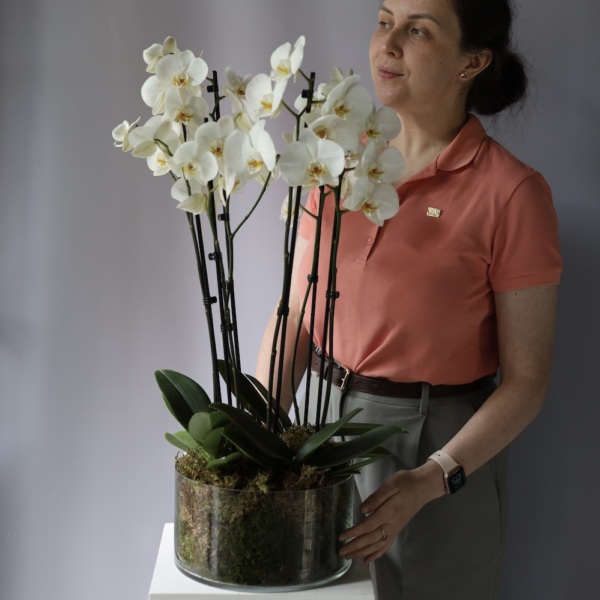 Композиция из орхидей в вазе Композиция из орхидей в вазе