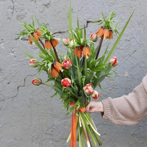 Fritillaria with Tulips - Размер M