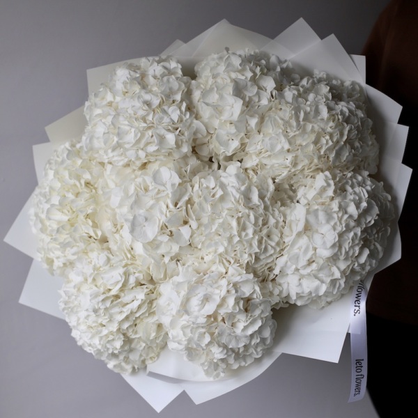 White Hydrangea - 9 гортензий 