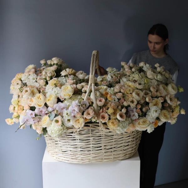 Peach Signature basket - Размер 5XL - 6XL