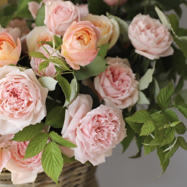 Garden roses of different sorts in a basket