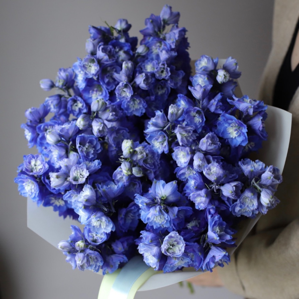 Blue Delphinium Blue Delphinium - 25 дельфиниумов