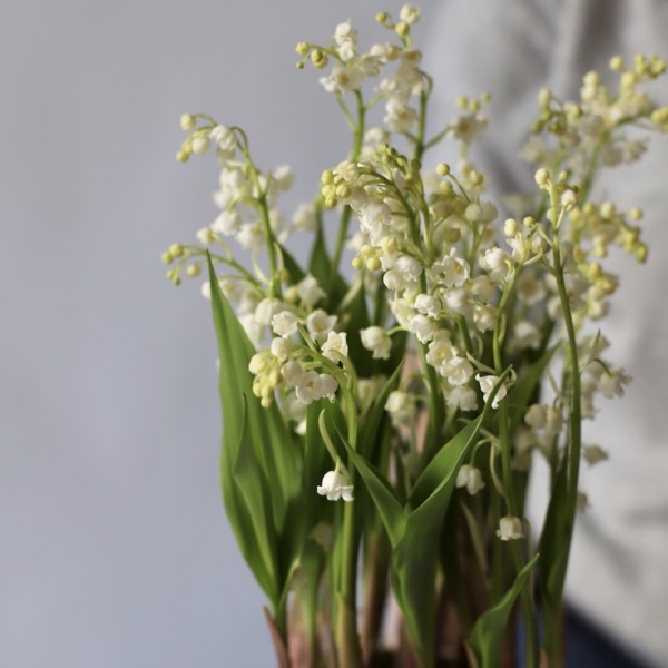 Lily of the Valley in a ceramic pot -   25 ландышей  