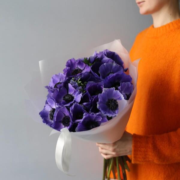 Purple Anemone - 19 анемон