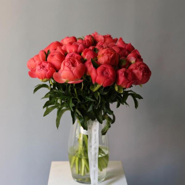 Peony in a vase - 25 пионов