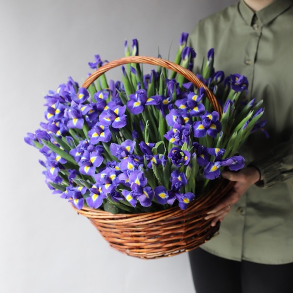 Irises in basket - Размер L