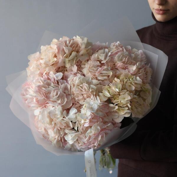 Colombian Hydrangeas - 9 гортензий