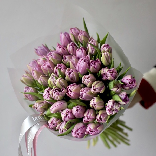 Lilac Tulips - 49 тюльпанов