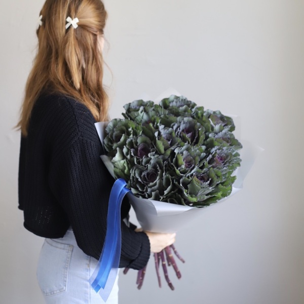 Brassica - 15 брассик