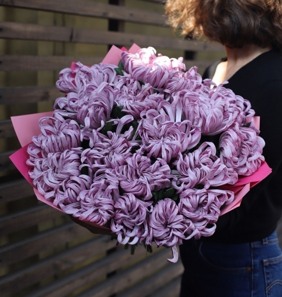 Curly lilac Chrysanthemum - 19 хризантем