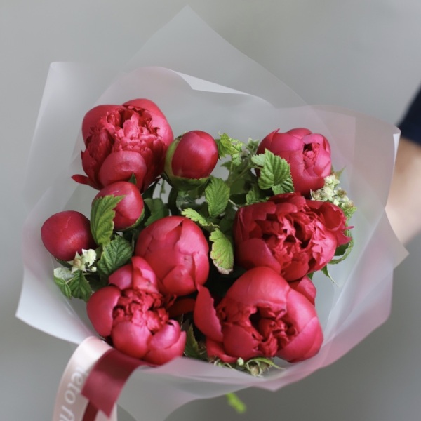 Winy Peony - 9 пионов