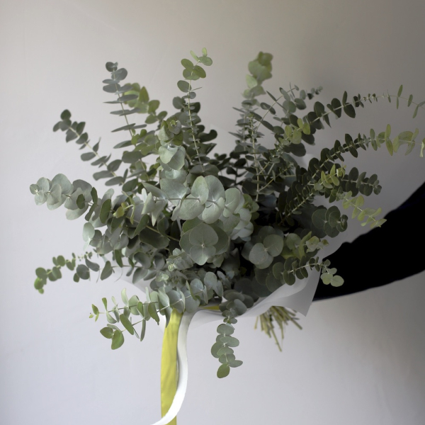 Bouquet of eucalyptus  - Размер S