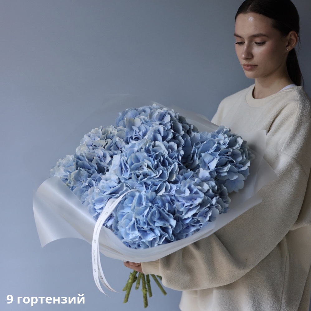 Skyblue Hydrangea Skyblue Hydrangea -  9 гортензий