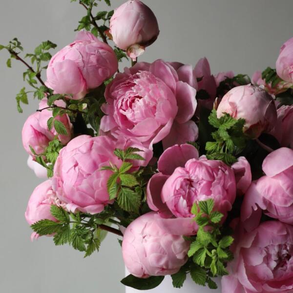 Light-pink Peonies in a hatbox