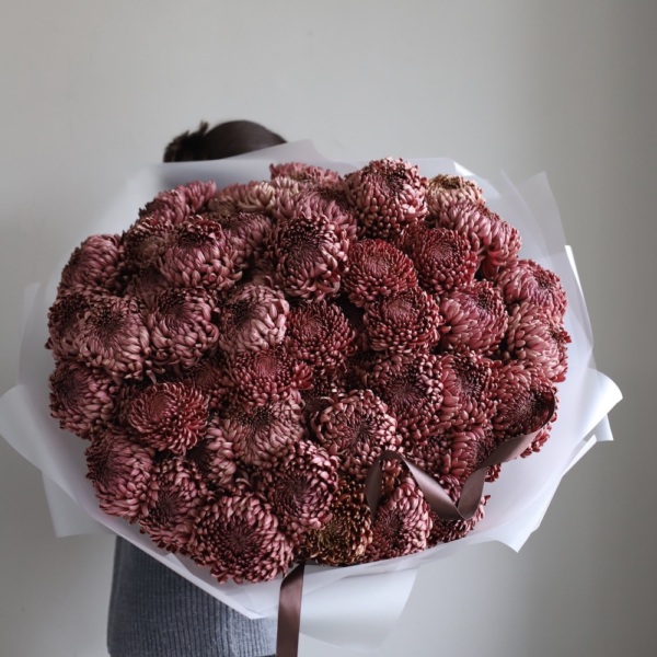 Chocolate Chrysanthemum - 99 хризантем