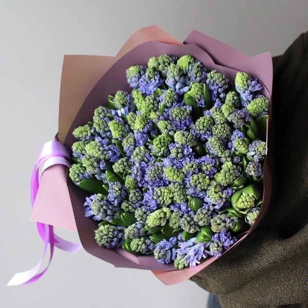 Lilac Hyacinthus - 75 гиацинтов