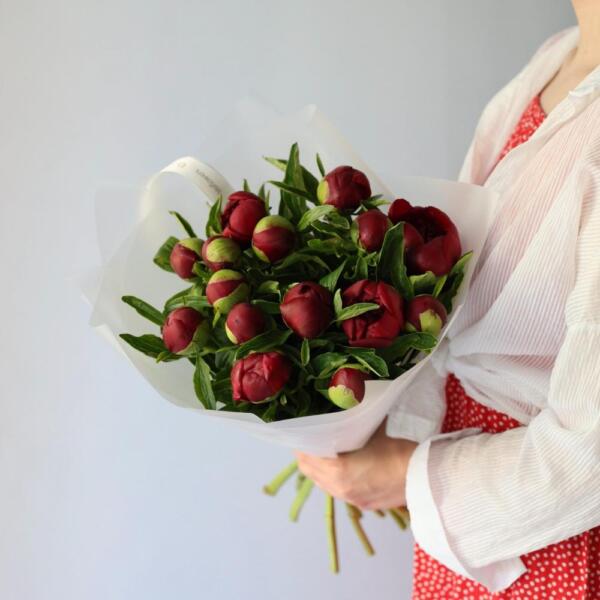 Winy Peony - 15 пионов