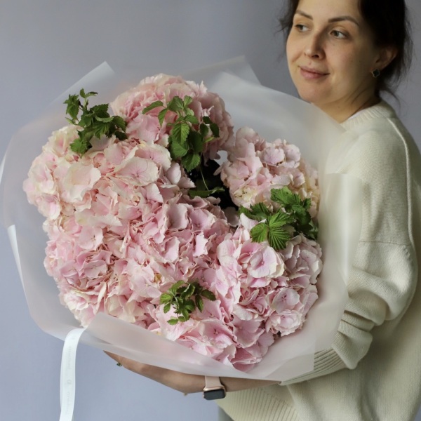 Pink Hydrangea - 9 гортезий с зеленью