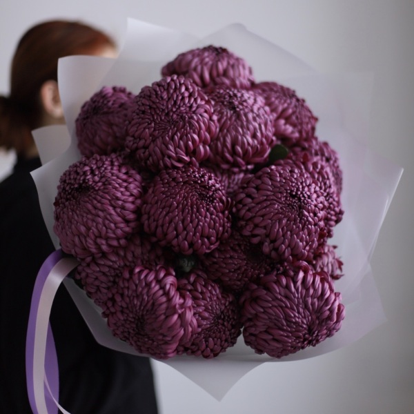 Violet Chrysanthemum