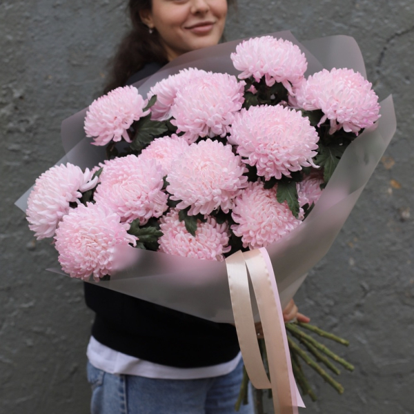 Large pink Chrysanthemum -  19 хризантем 