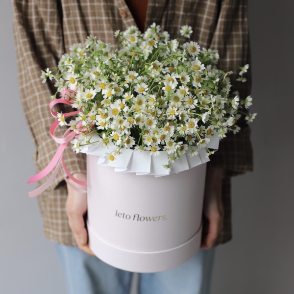Daisies in a hat box - Размер M