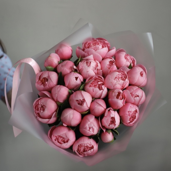 Salmon Peony - 25 пионов