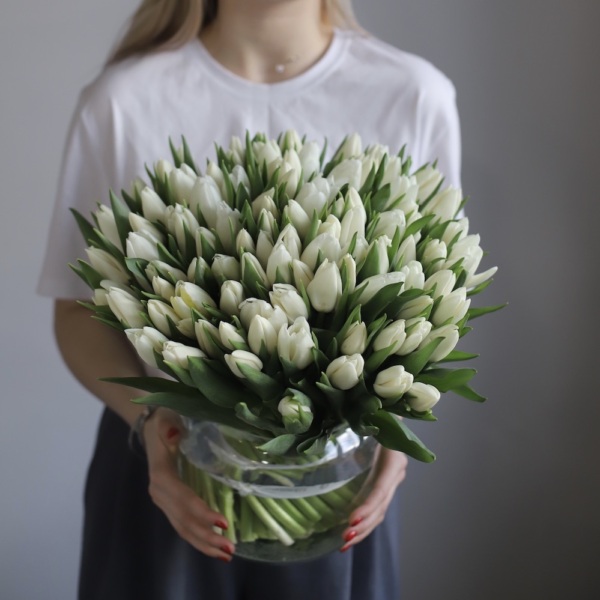 Tulips in a vase - 99 тюльпанов