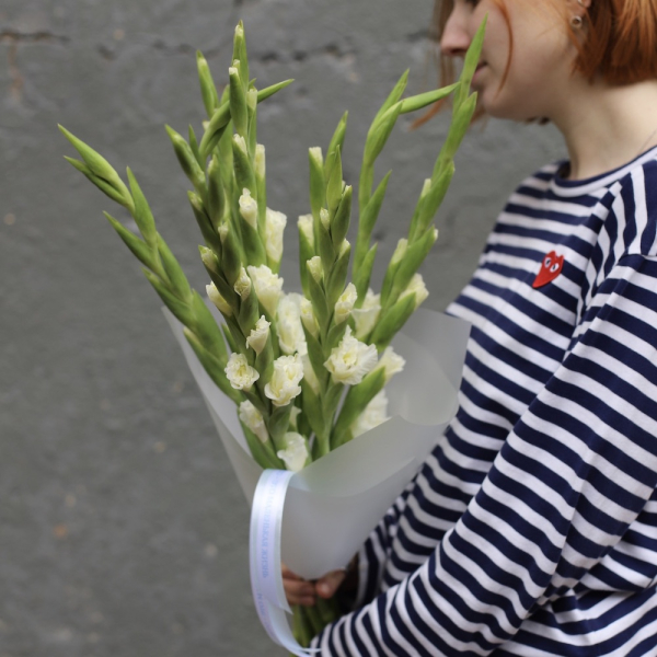 White Gladiolus - 9 гладиолусов 