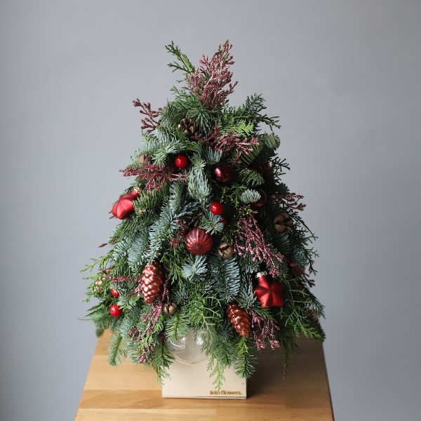 Mini Christmas Tree 'Lingonberry'