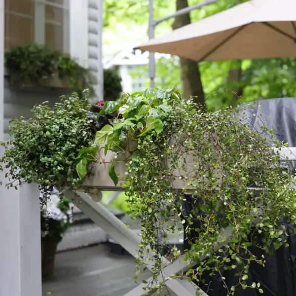 Veranda decoration