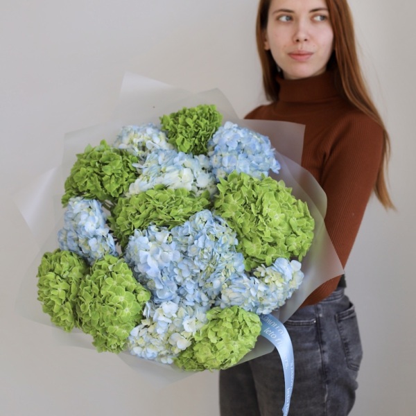 Colombian Hydrangeas - 15 гортензий