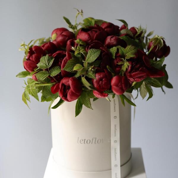 Burgundy Peonies in a hat box - Размер L