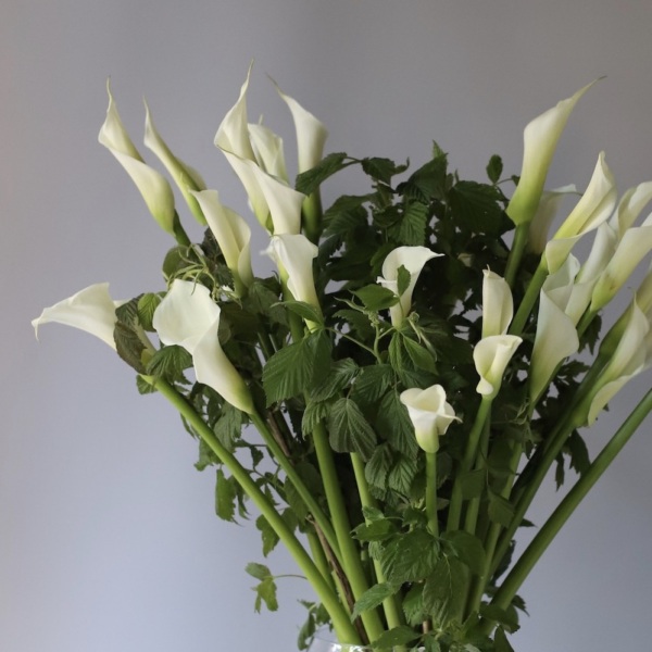 Calla Lilies in a vase - 29 калл с зеленью