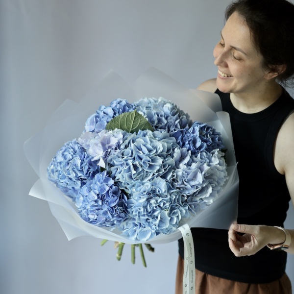 Skyblue Hydrangea - 9 гортензий