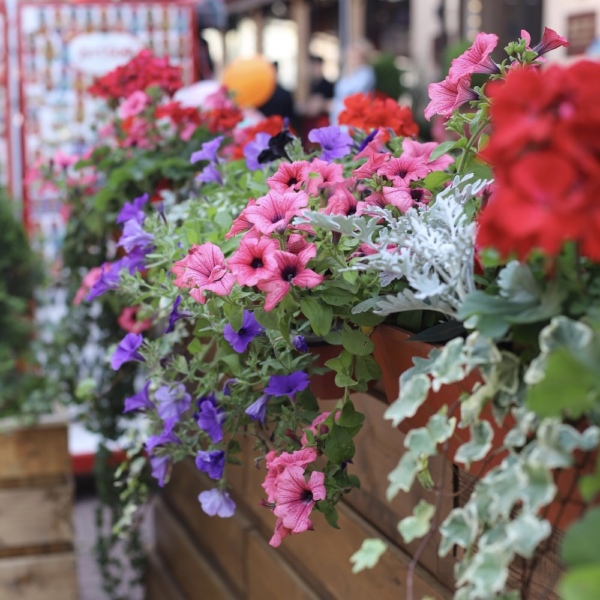 Veranda decoration