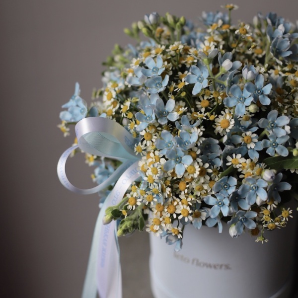 Daisies with Oxypetalum in a hat box - Размер M