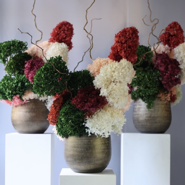Arrangement of Preserved Hydrangeas in a Pot