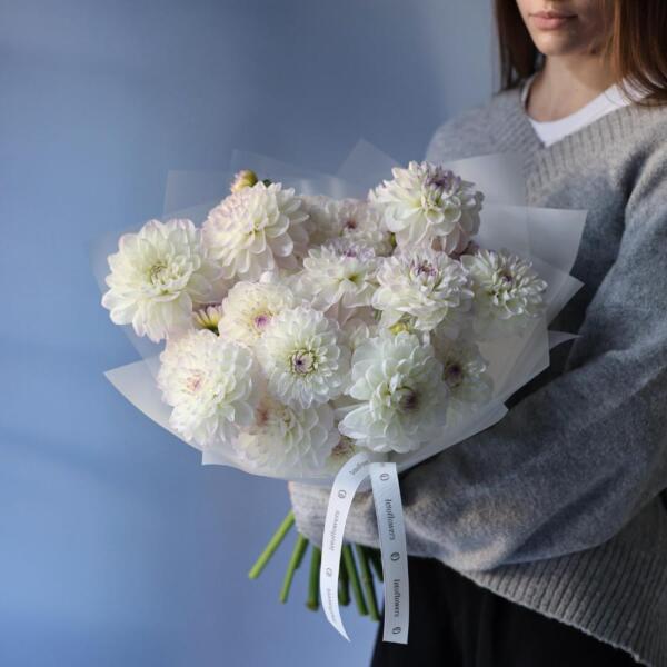 White Dahlia - 19 георгин