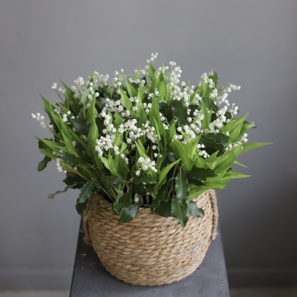 Lily of the Valley in a basket - 75 ландышей