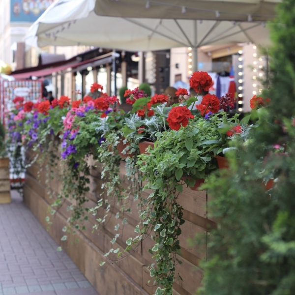 Оформление веранды