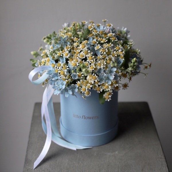 Daisies with Oxypetalum in a hat box - Размер M