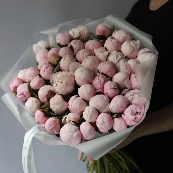 Pink Peony -  49 пионов 