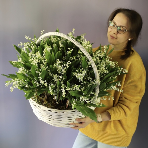 Lily of the Valley in a basket - 249 ландышей