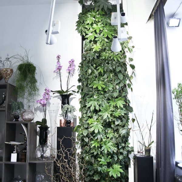 Vertical garden