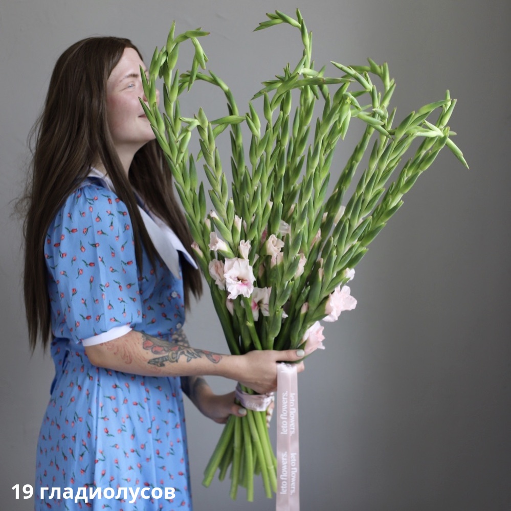 Pink Gladiolus Pink Gladiolus -  19 гладиолусов