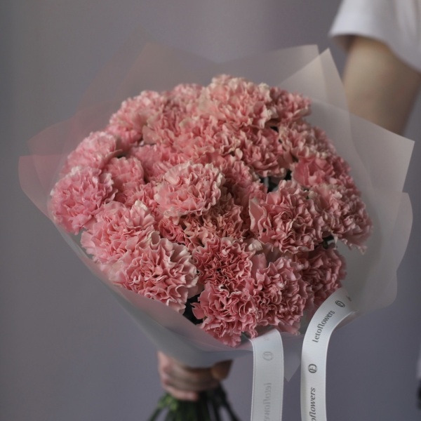 Pink Carnations -  29 гвоздик 